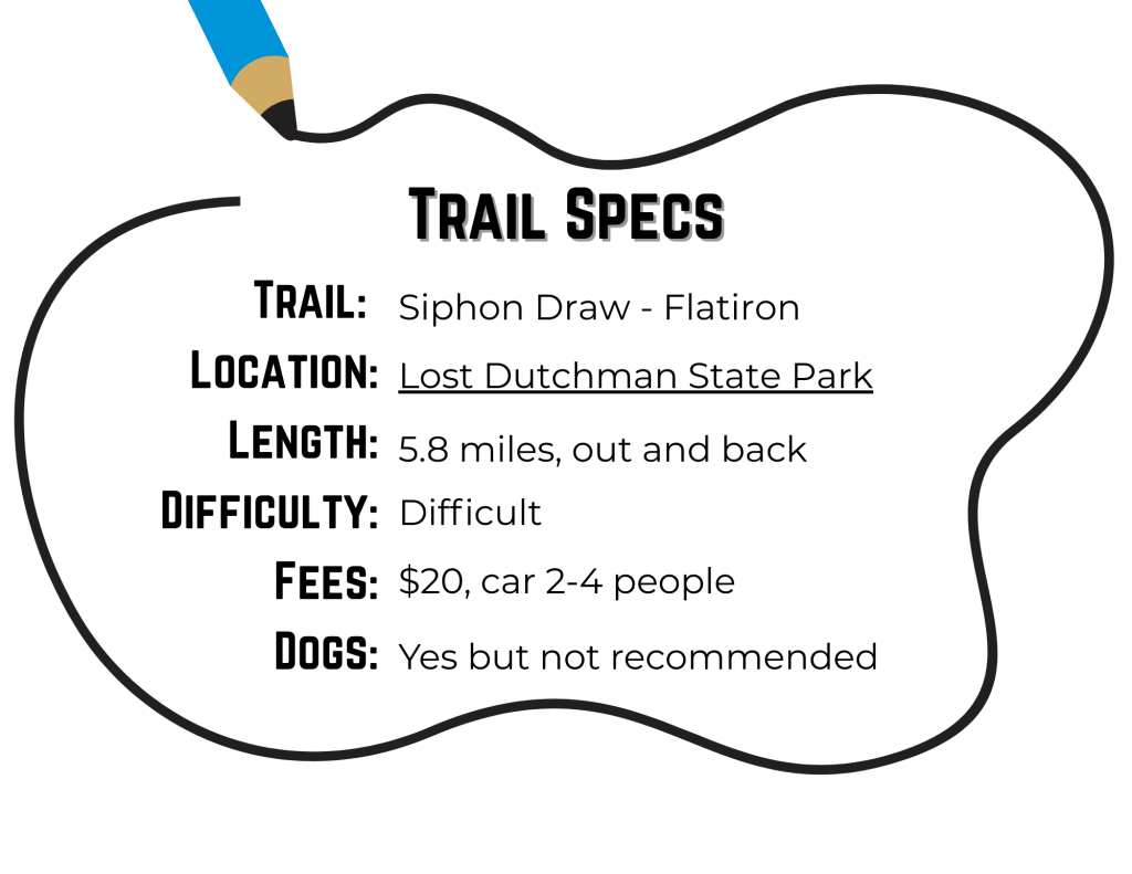 trail specs, siphon draw to flatiron is located in Lost Dutchman State Park, 5.8 miles out and back, difficult, costs $20, and does allow dogs but it is not advised on this hike