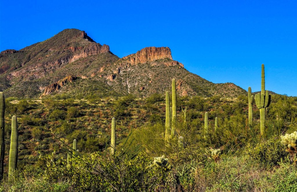 5 Trails in 4 Hours: Stellar Hike 30 Minutes from&nbsp;Phoenix