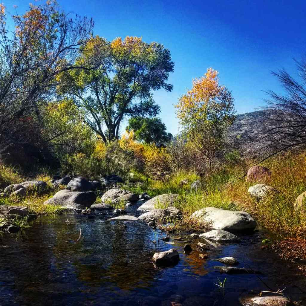 Explore 2 Mesquite Bosques in the Cave Creek&nbsp;Desert